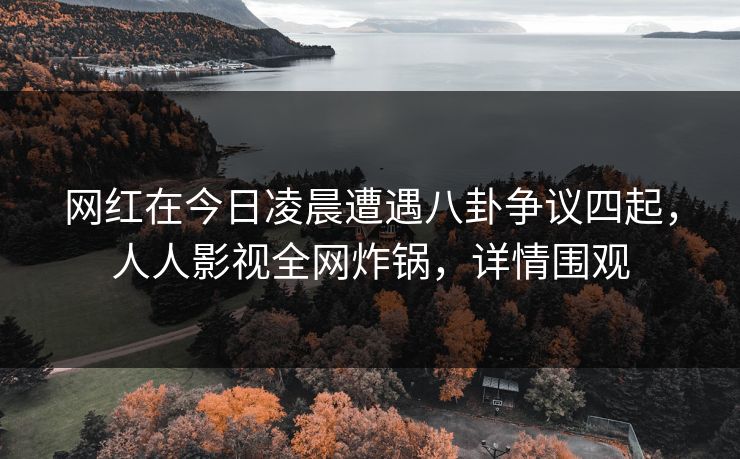 网红在今日凌晨遭遇八卦争议四起,人人影视全网炸锅,详情围观
