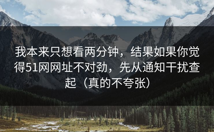 我本来只想看两分钟，结果如果你觉得51网网址不对劲，先从通知干扰查起（真的不夸张）